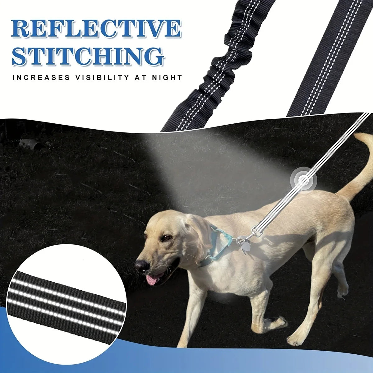 Durable Double Dog Leash – Adjustable Reflective Design for Safe Evening Walks