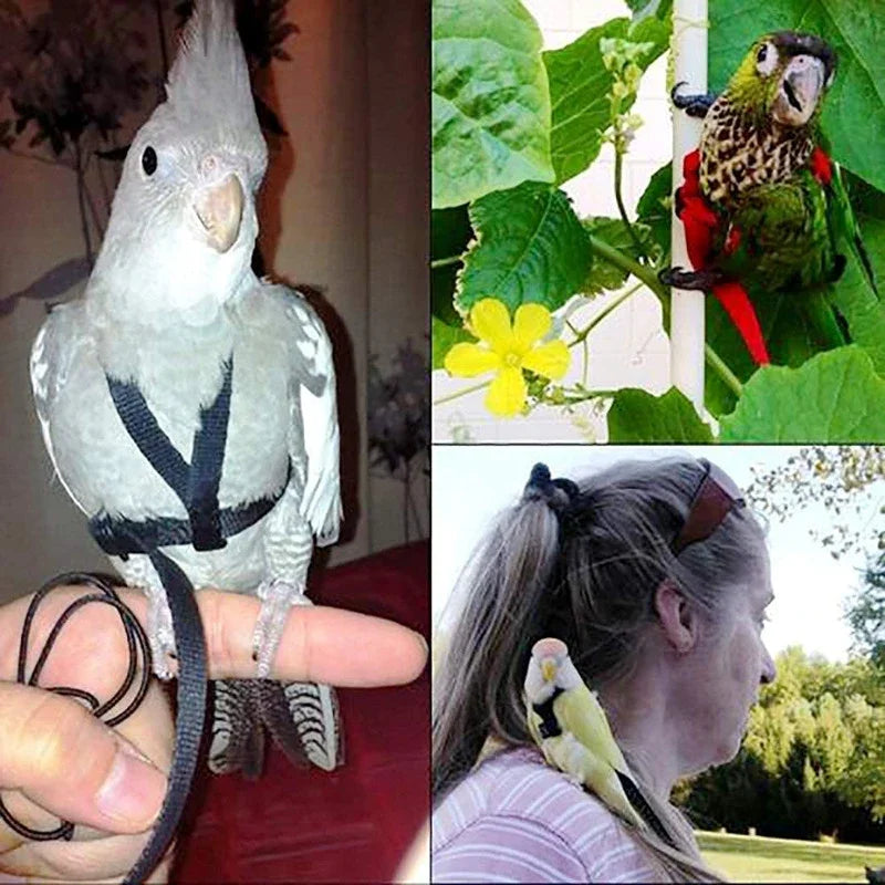 Adjustable Bird Harness & Leash for Training and Flight