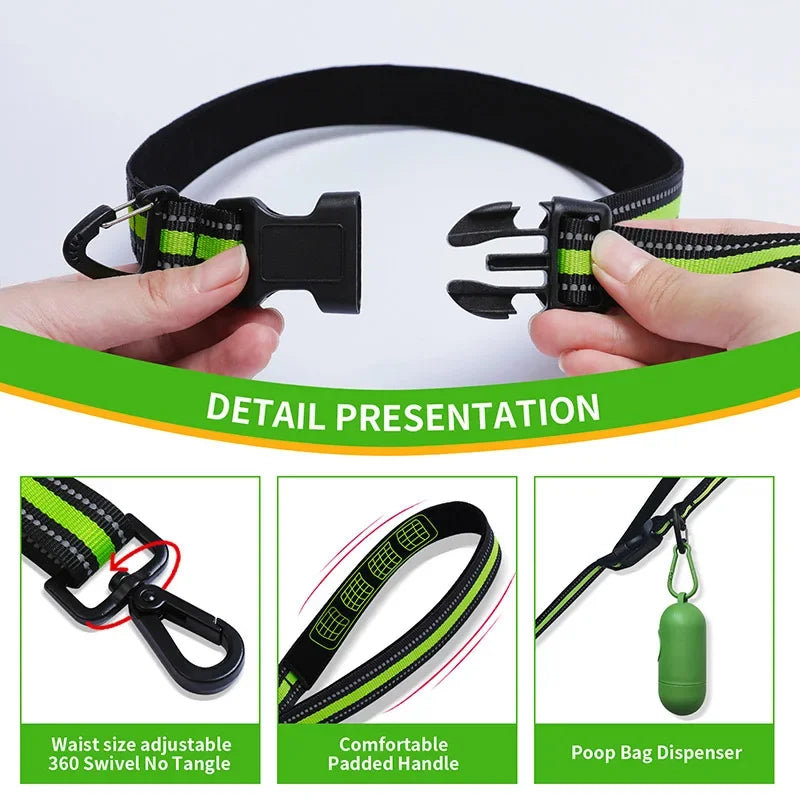 Hands-Free, Reflective, Bungee Styled Dog Leash with Waist Attachment