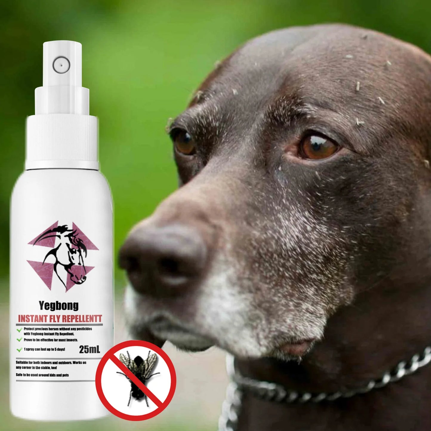 Pet Flea Tick and Mosquito Spray for Dogs Cats and Home