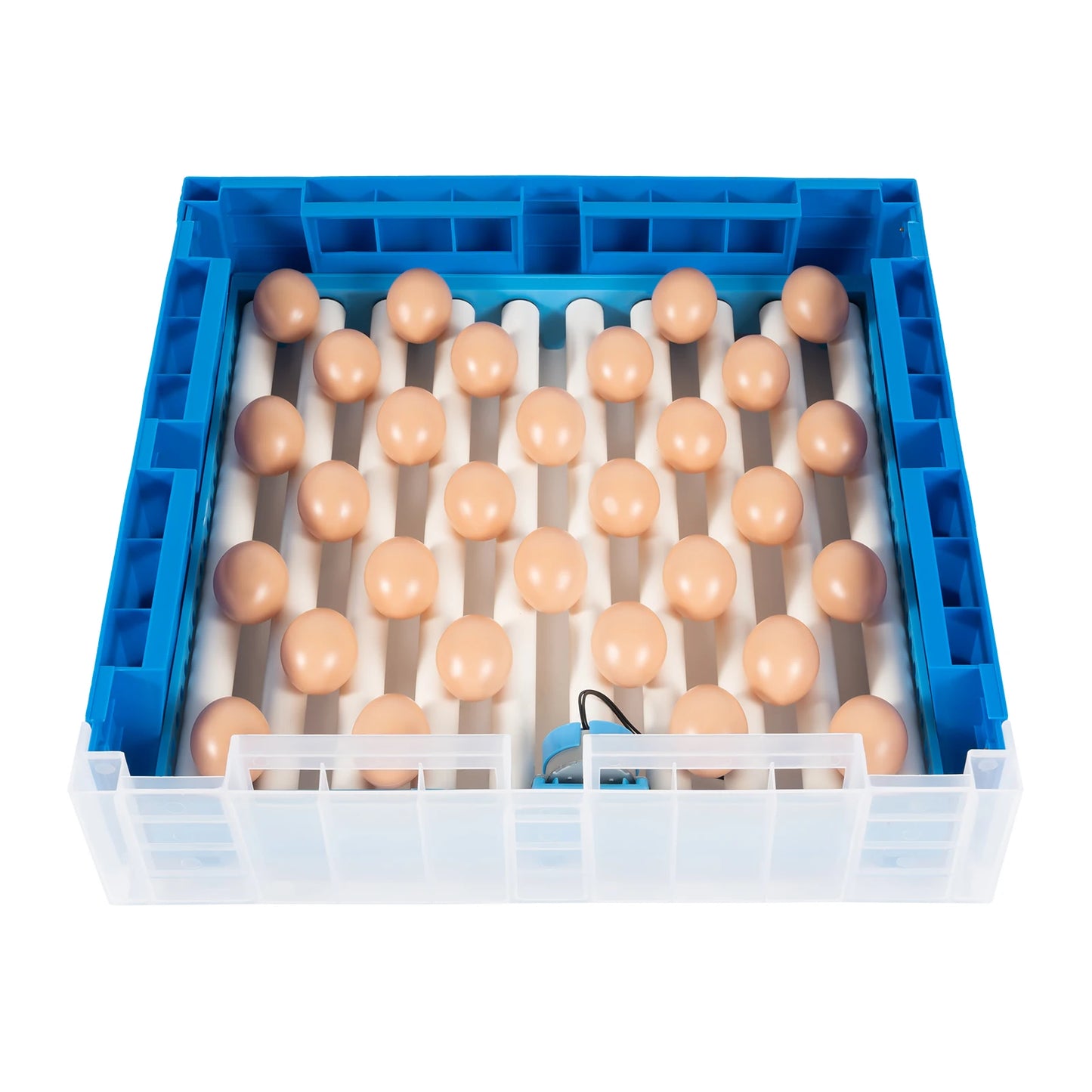 80W Automatic Egg Incubator with Digital Temperature Control – 64 Egg Capacity