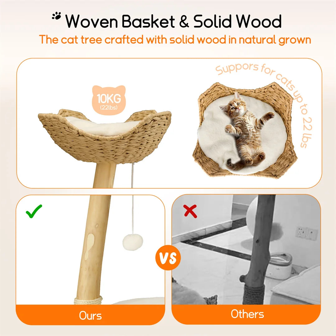 Modern Solid Wood Cat Tree with Scratching Posts, Hammocks and Toy Ball