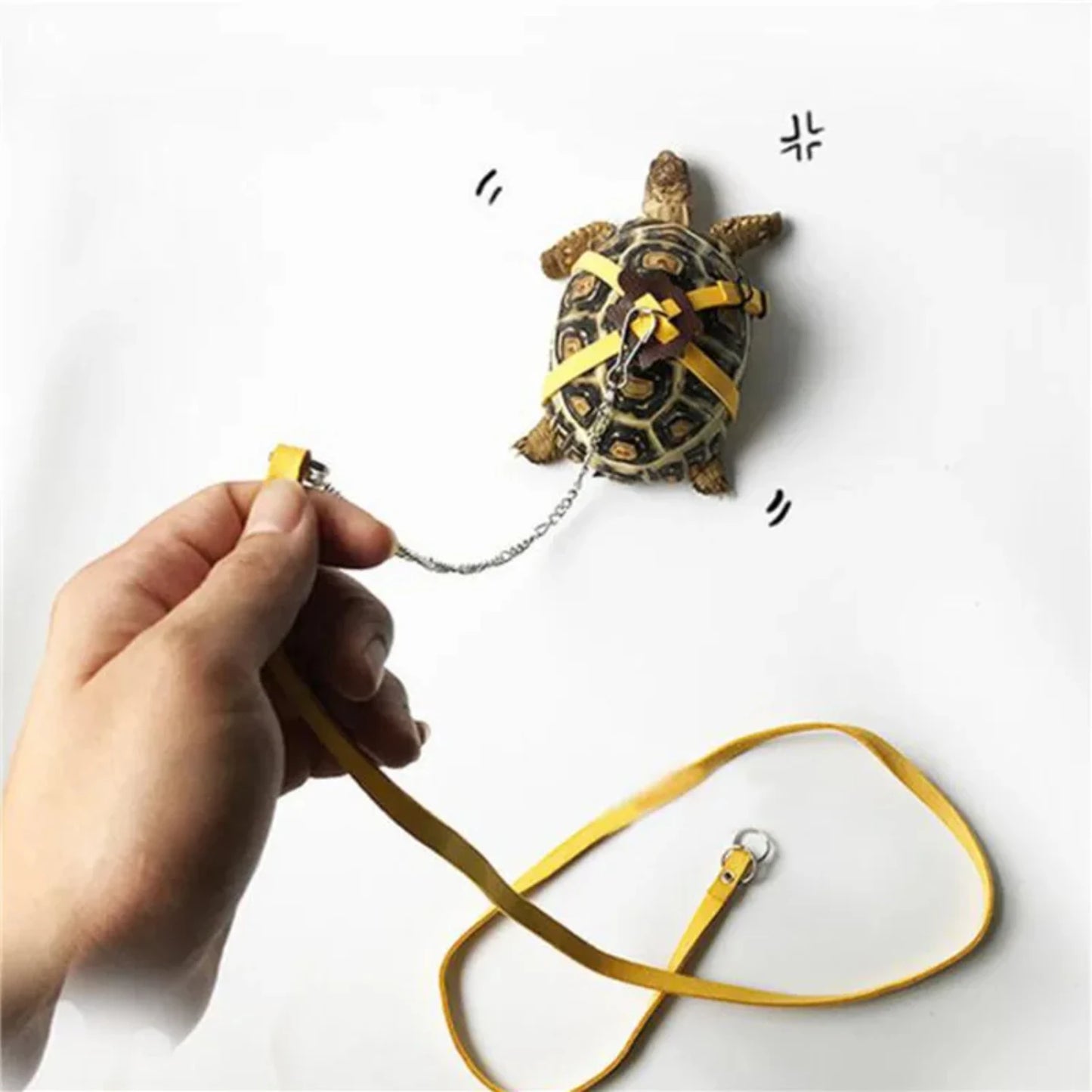 Adjustable Tortoise & Reptile Harness with Leash