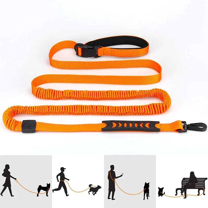 Hands-Free, Reflective, Bungee Styled Dog Leash with Waist Attachment