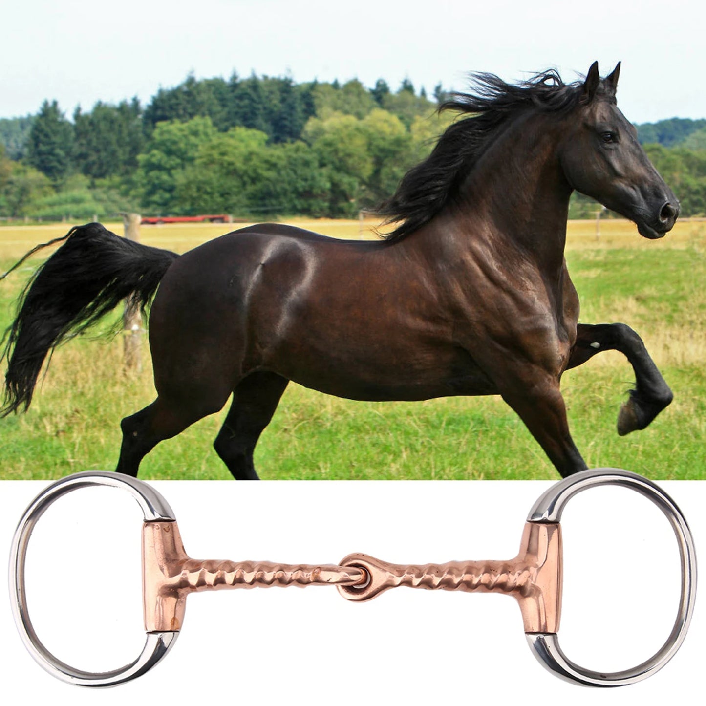 Horse Chew Bit - Stainless Steel Eggbutt Bit with Copper Corkscrew Mouth