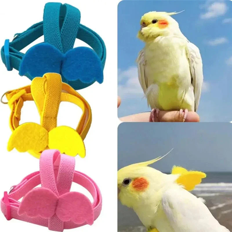 Adjustable Bird Harness & Leash Set