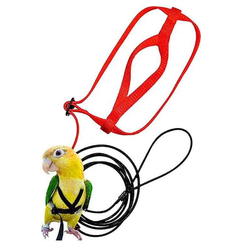 Adjustable Bird Harness & Leash for Training and Flight