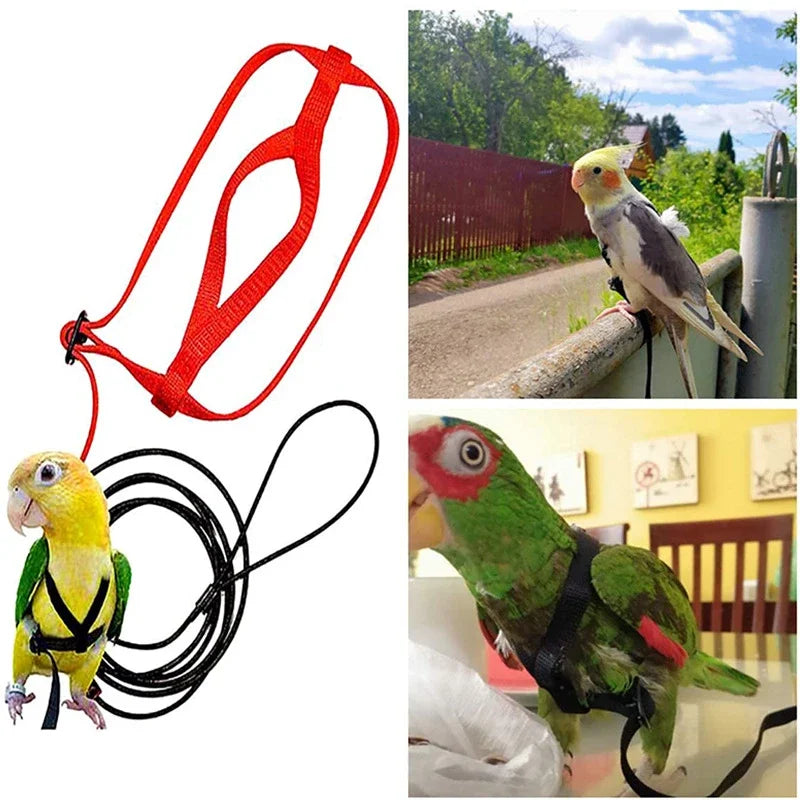 Adjustable Bird Harness & Leash for Training and Flight