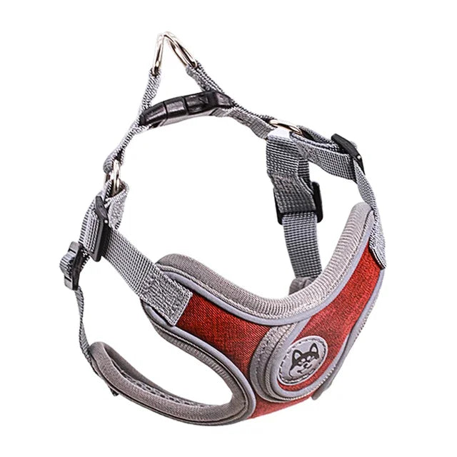 Reflective Dog Harness with Vest and Leash for Small Dogs – Ideal for Training