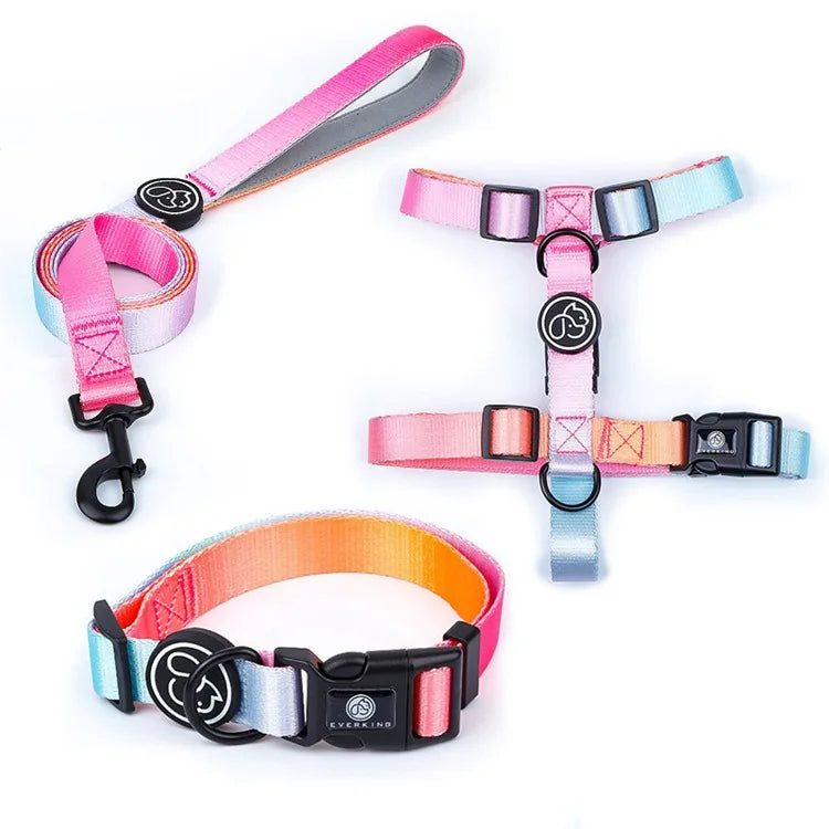 Gradient Design Dog Leash & Harness Set – Adjustable for Small, Medium & Large Dogs | Cute & Durable Pet Walking Gear