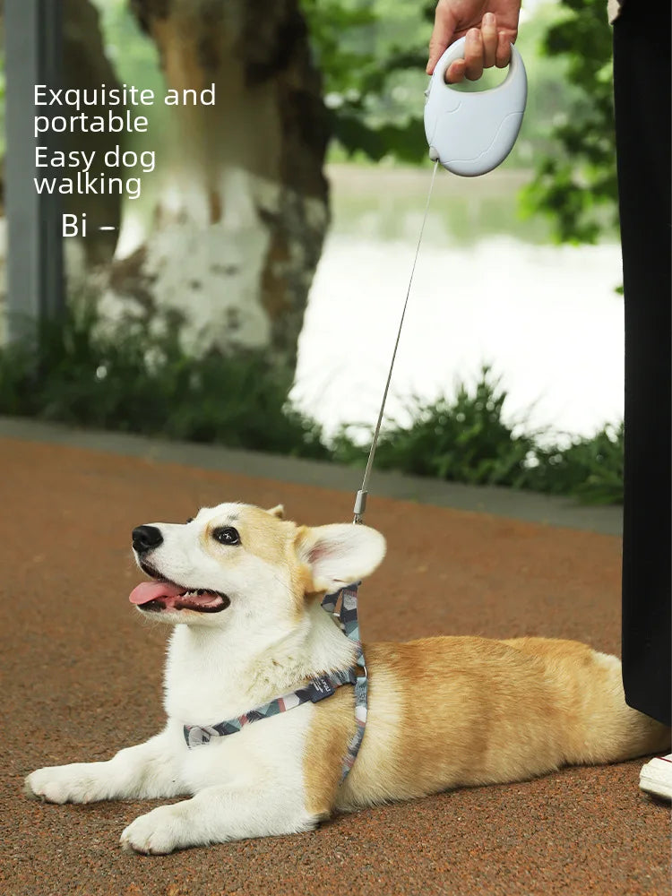 Retractable, Tangle-Free Dog Leash with One-Click Lock – Available in 10 ft & 16 ft Lengths